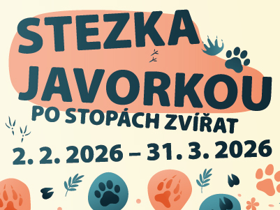 Přihlašování na kroužky